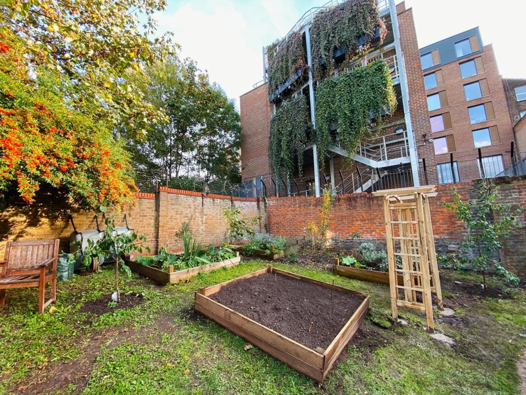 Gardening volunteering for St Mungo's