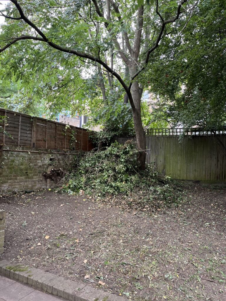 Gardening for St Mungo's